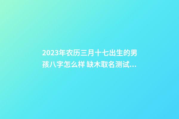 2023年农历三月十七出生的男孩八字怎么样 缺木取名测试打分